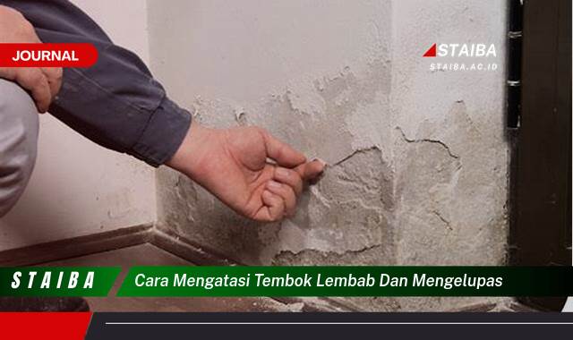 Ketahui Cara Mengatasi Tembok Lembab dan Mengelupas Secara Efektif dan Tahan Lama
