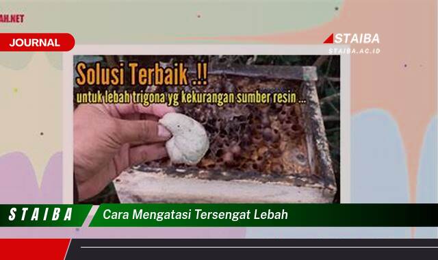 Ketahui Cara Mengatasi Tersengat Lebah dengan Cepat dan Efektif