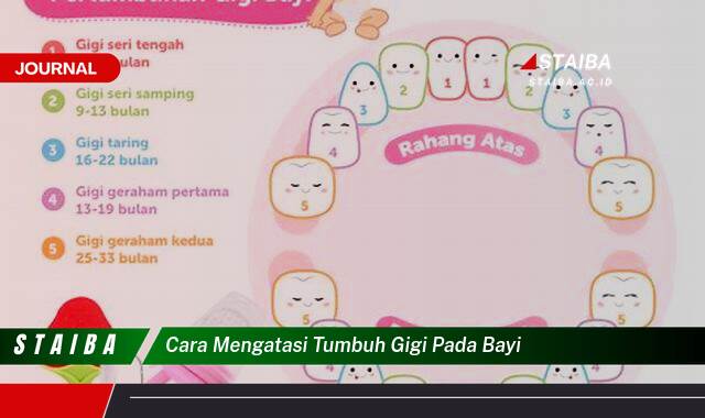 Ketahui Cara Mengatasi Tumbuh Gigi Pada Bayi yang Aman dan Efektif
