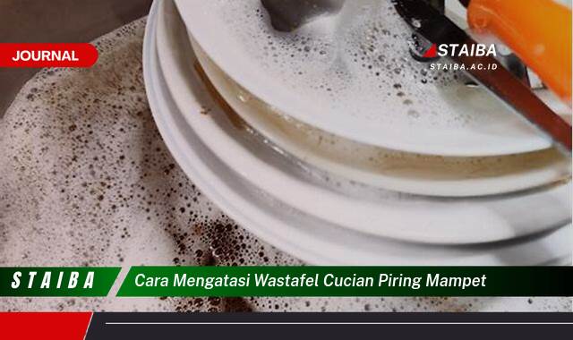 Ketahui Cara Mengatasi Wastafel Cucian Piring Mampet dengan Cepat dan Mudah