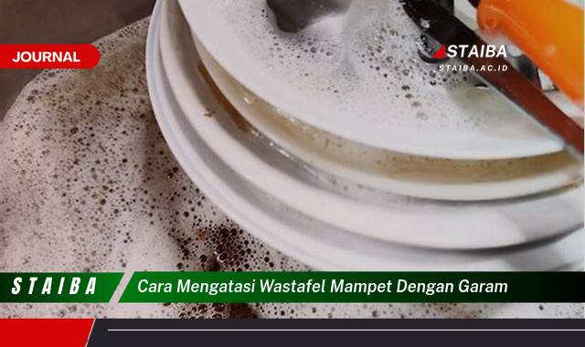 Ketahui Cara Mengatasi Wastafel Mampet dengan Garam (Mudah & Ampuh)