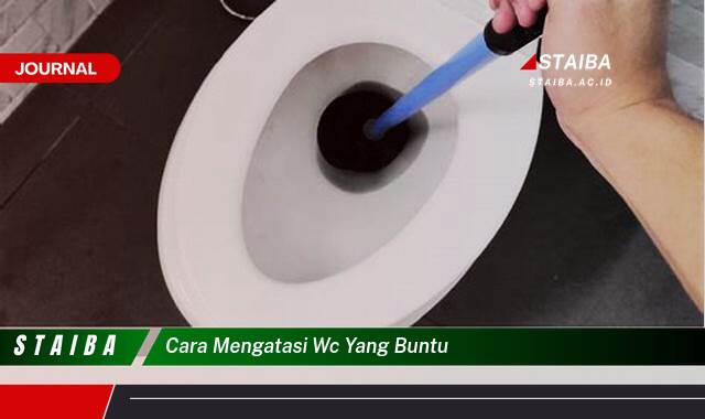Ketahui Cara Mengatasi WC Mampet dengan Cepat dan Mudah