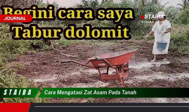Ketahui Cara Mengatasi Zat Asam Pada Tanah untuk Tanaman Subur dan Produktif Ketahui Cara Mengatasi Zat Asam Pada Tanah untuk Tanaman Subur dan Produktif